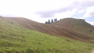 Entreprise Broyage Forestier