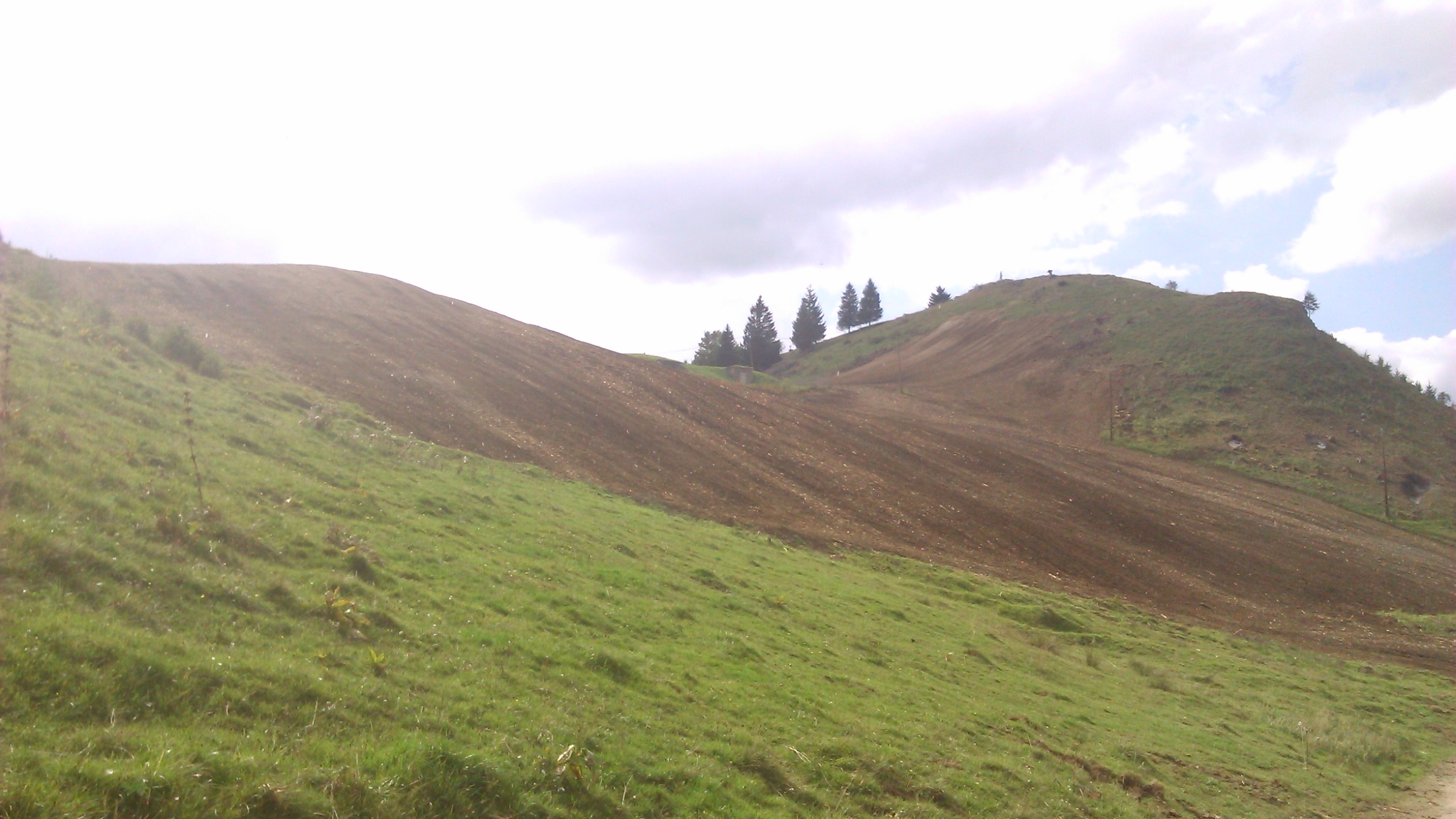 Entreprise Broyage Forestier